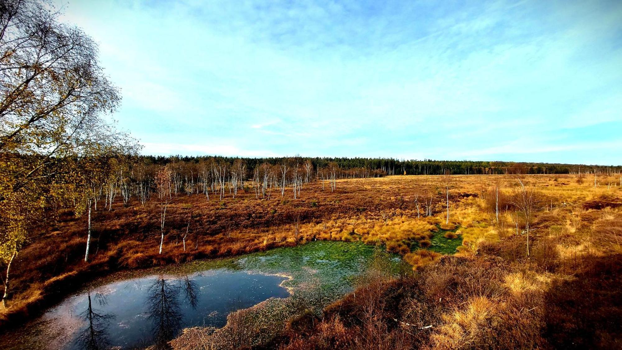 Fewo Silberborn - Weserbergland Lejlighed Holzminden Eksteriør billede