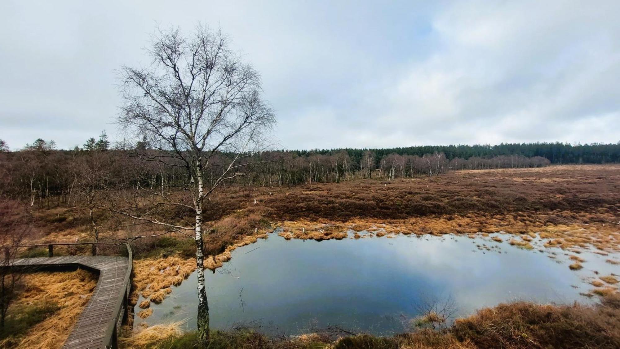 Fewo Silberborn - Weserbergland Lejlighed Holzminden Eksteriør billede