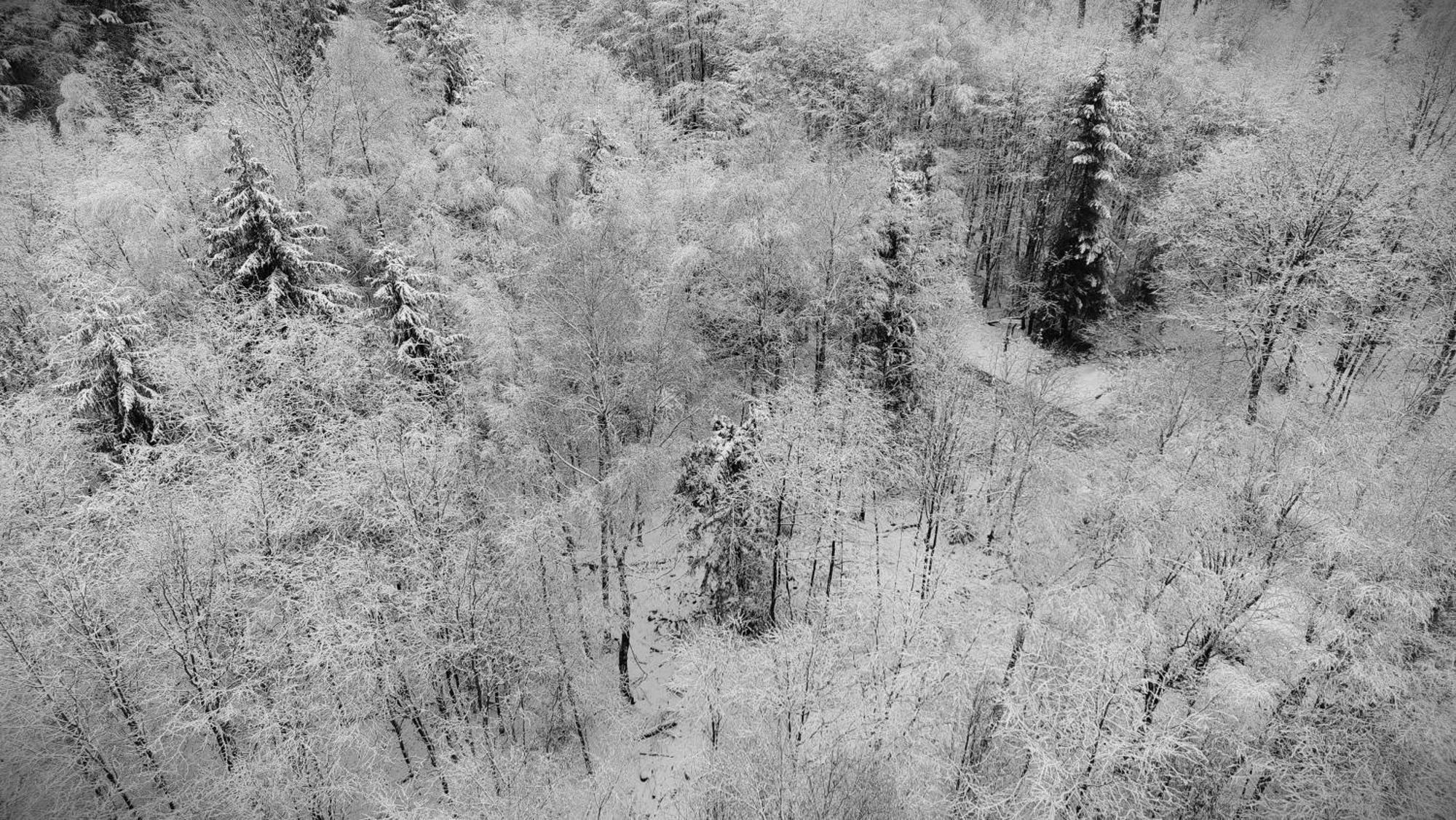 Fewo Silberborn - Weserbergland Lejlighed Holzminden Eksteriør billede