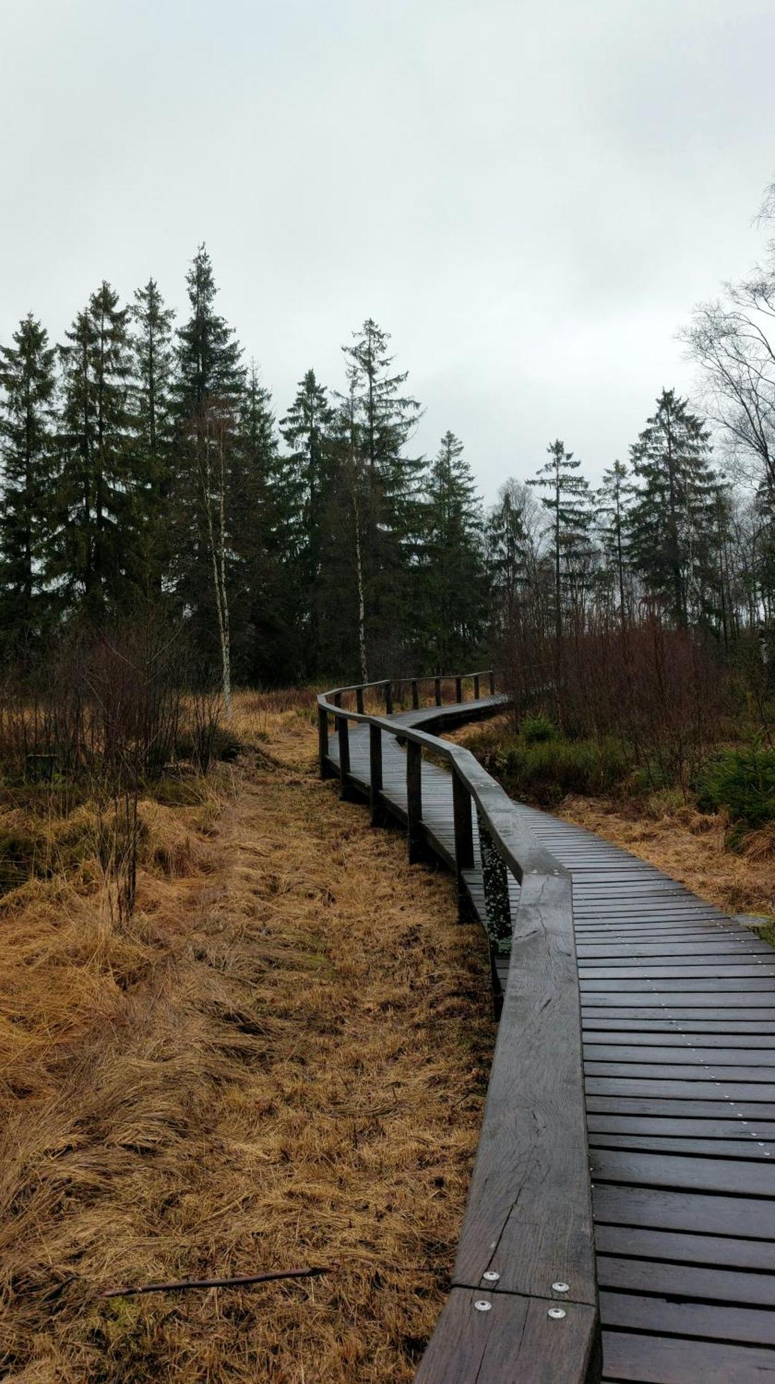 Fewo Silberborn - Weserbergland Lejlighed Holzminden Eksteriør billede