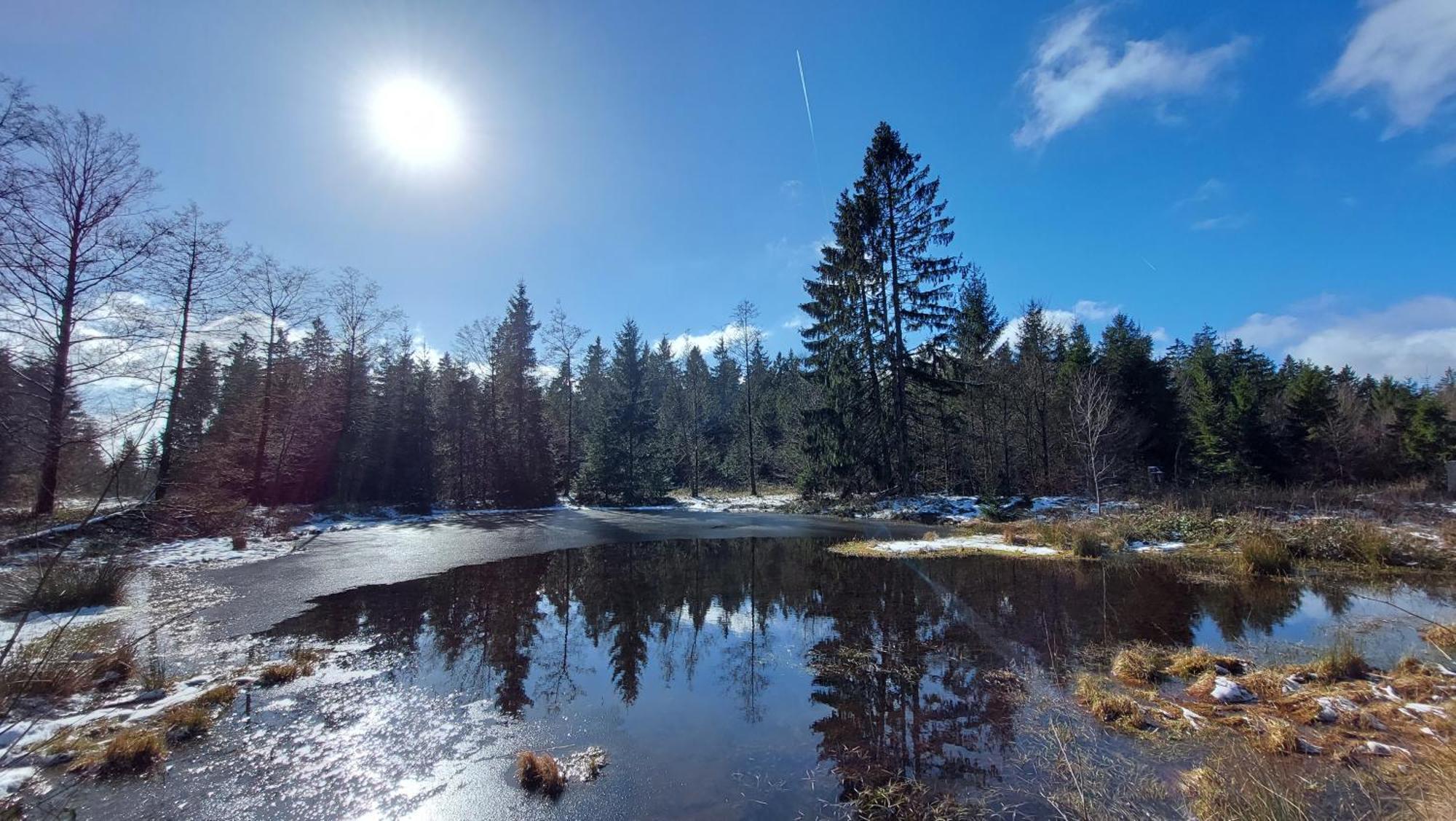 Fewo Silberborn - Weserbergland Lejlighed Holzminden Eksteriør billede