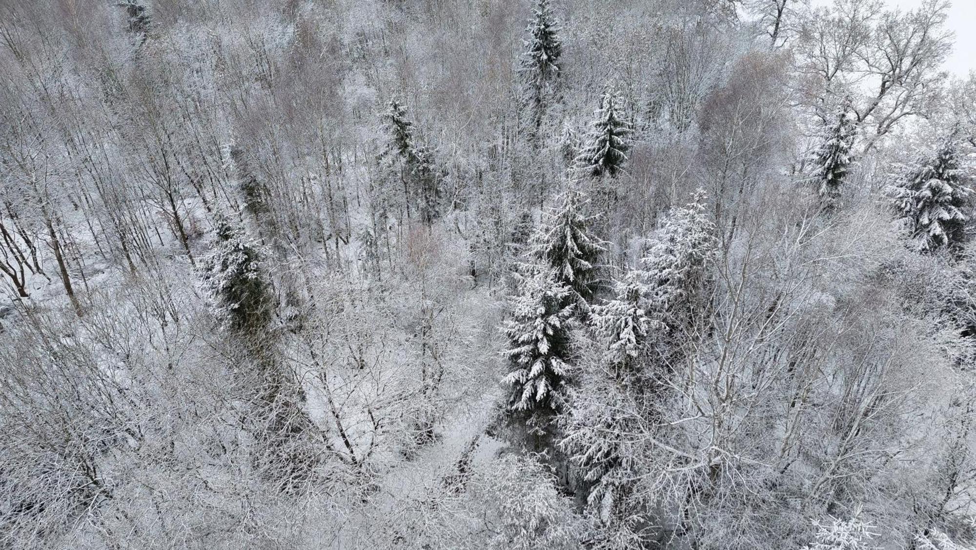 Fewo Silberborn - Weserbergland Lejlighed Holzminden Eksteriør billede